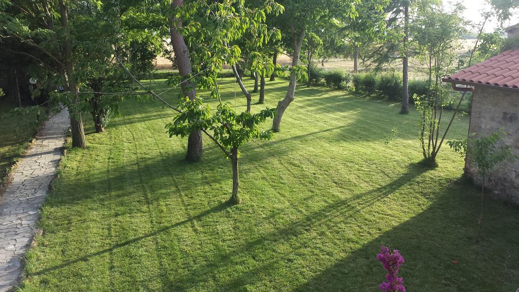 Agriturismo Casal Taccone Apartment ตาร์กวิเนีย ห้อง รูปภาพ