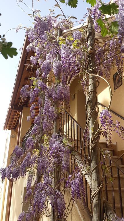 Agriturismo Casal Taccone Apartment ตาร์กวิเนีย ภายนอก รูปภาพ