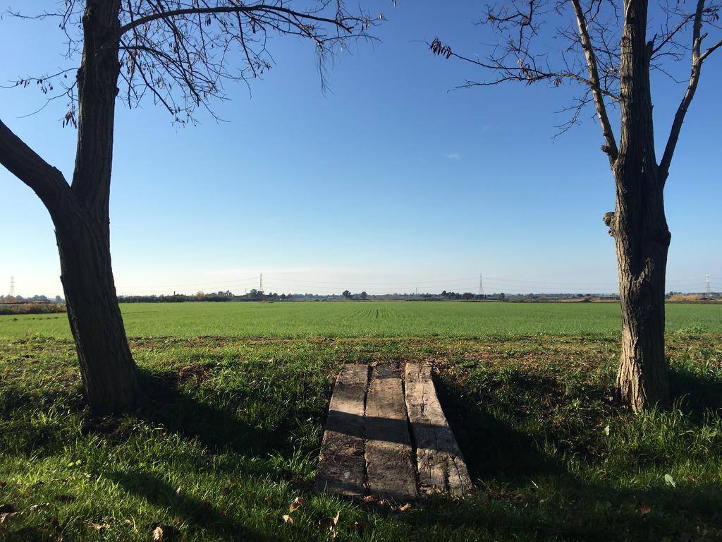 Agriturismo Casal Taccone Apartment ตาร์กวิเนีย ภายนอก รูปภาพ