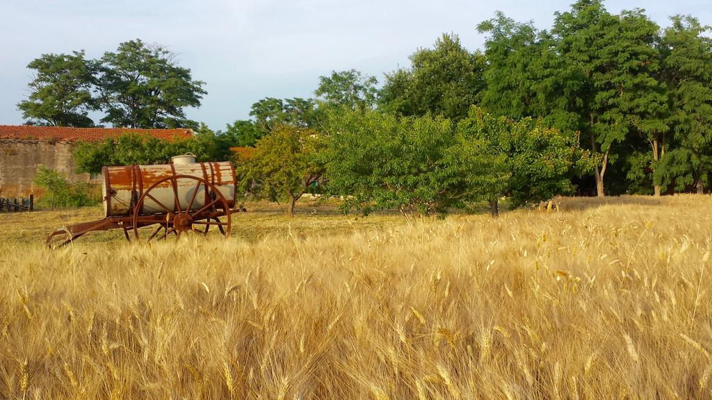 Agriturismo Casal Taccone Apartment ตาร์กวิเนีย ภายนอก รูปภาพ