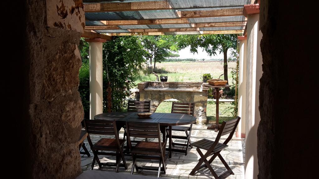 Agriturismo Casal Taccone Apartment ตาร์กวิเนีย ภายนอก รูปภาพ